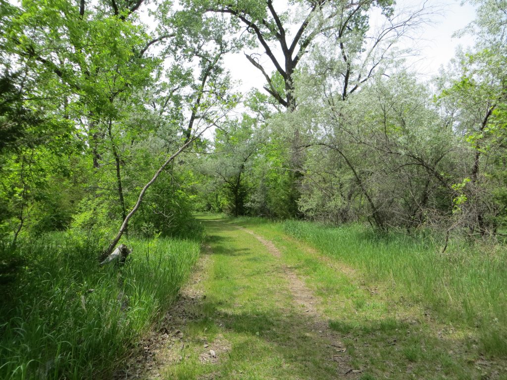 East Sibley Nature Park